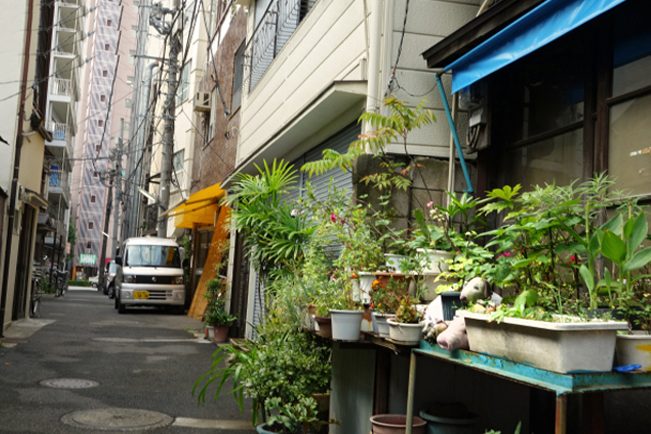 akss-before-longshot2