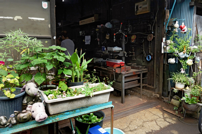 kss-plants-into-wshopr2