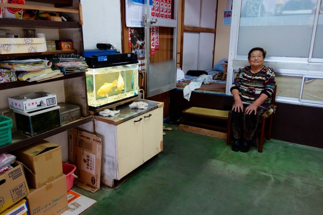 Sasaki end seated goldfish