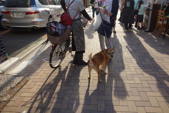 Torigoe yokochou meeting