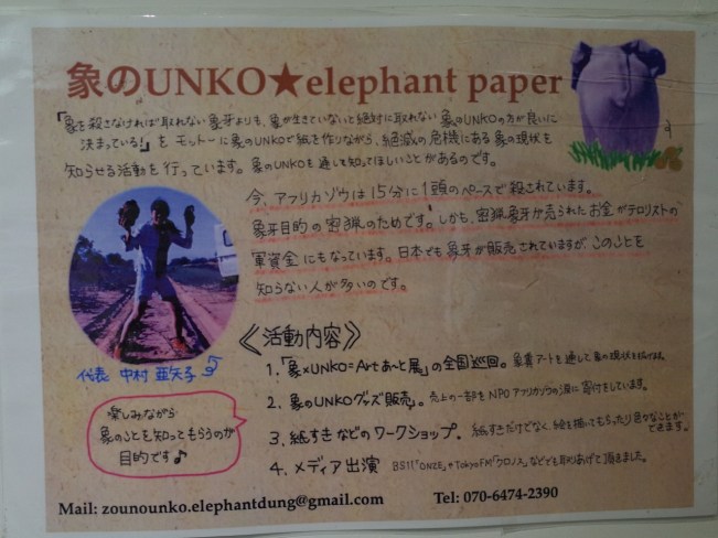 elephant flyer