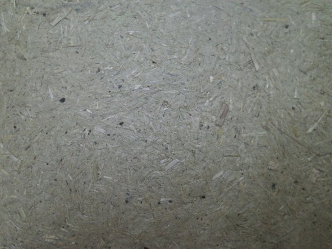 elephant paper close