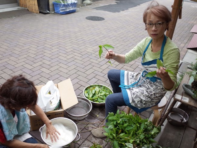 Indigo stripping leaves