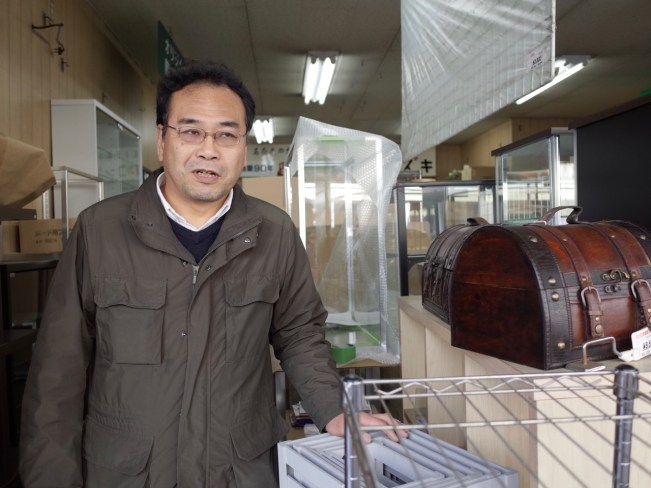 wollemi-pine-suzuki-close